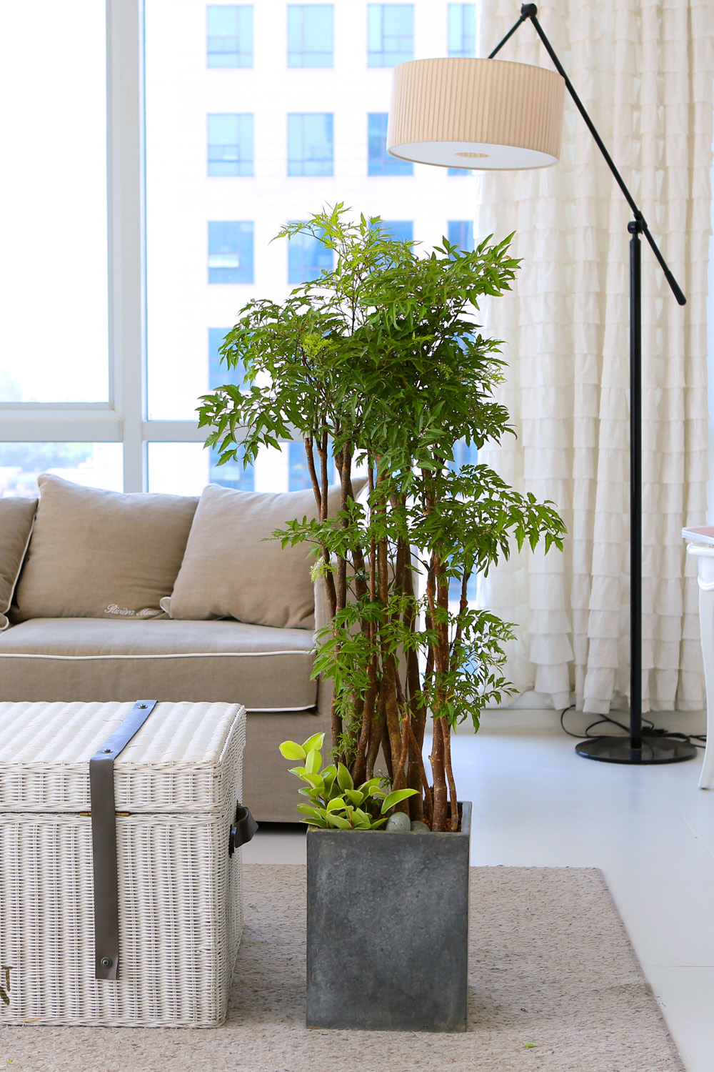   - ǳ ȭ -  ̱׷ Ž   ɹ