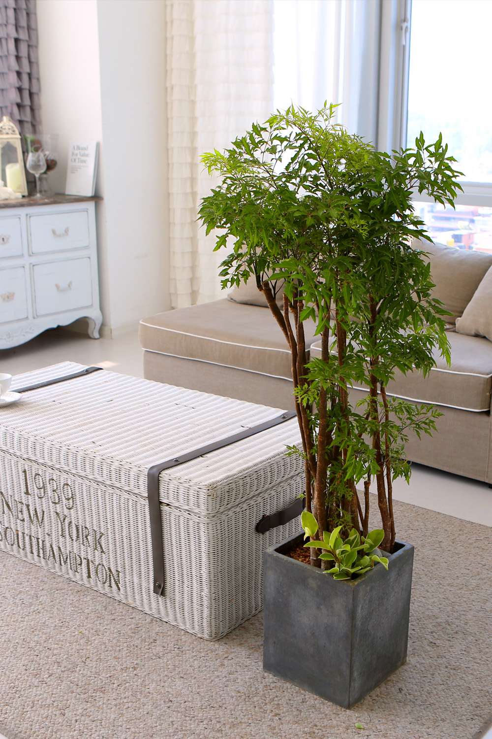   - ǳ ȭ -  ̱׷ Ž   ɹ