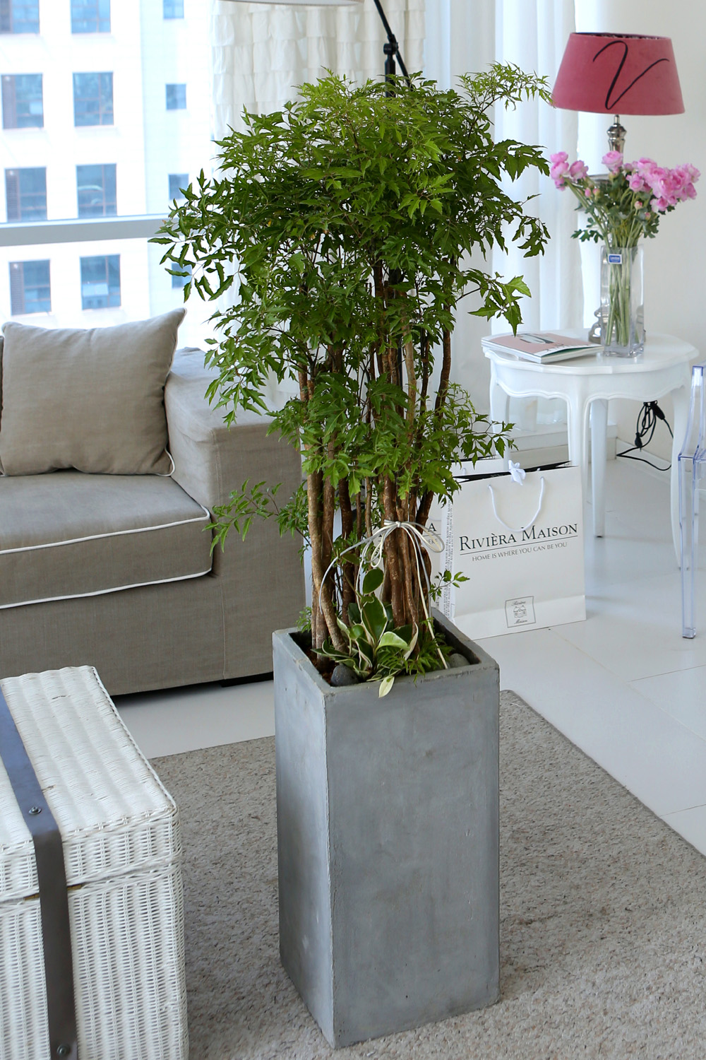   - ǳ ȭ -   ̱̽׷ Žǰ  ɹ