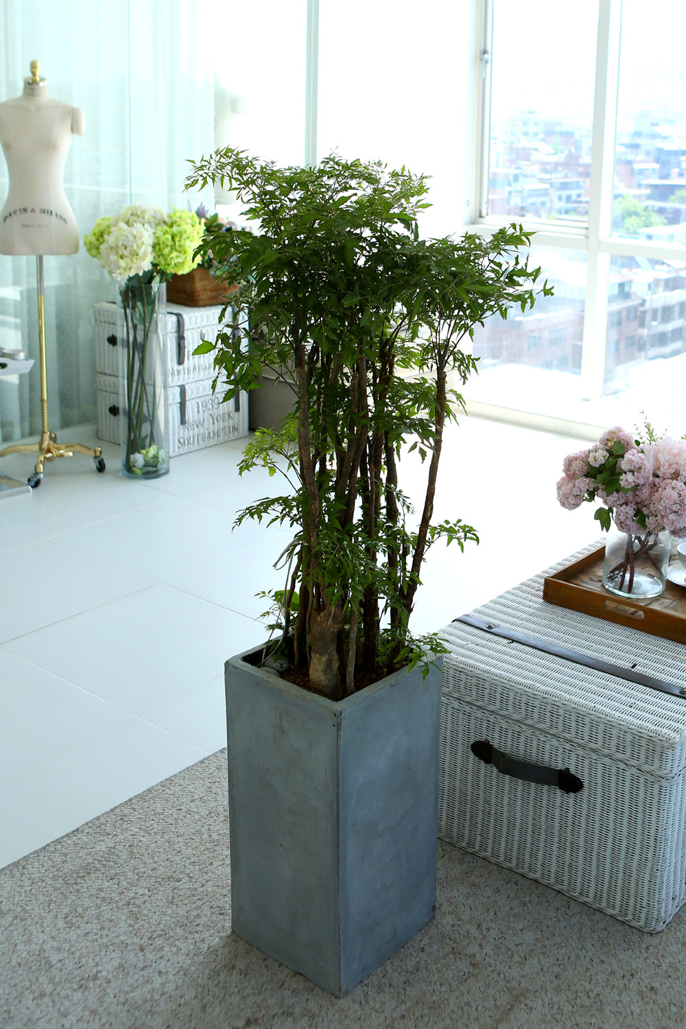   - ǳ ȭ -   ̱̽׷ Žǰ  ɹ