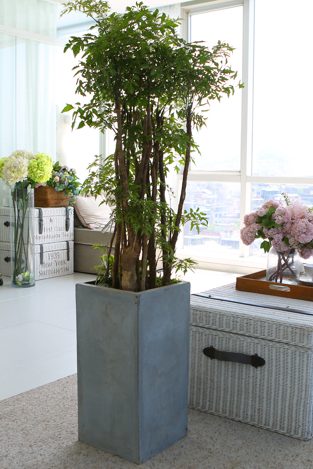   - ǳ ȭ -   ̱̽׷ Žǰ  ɹ