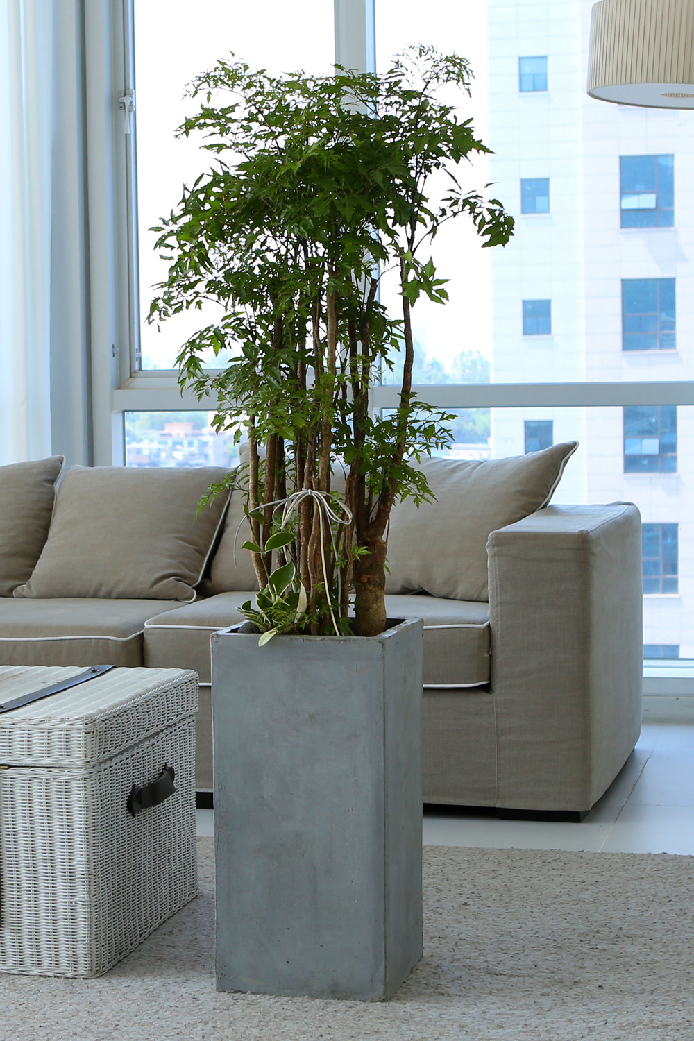   - ǳ ȭ -   ̱̽׷ Žǰ  ɹ