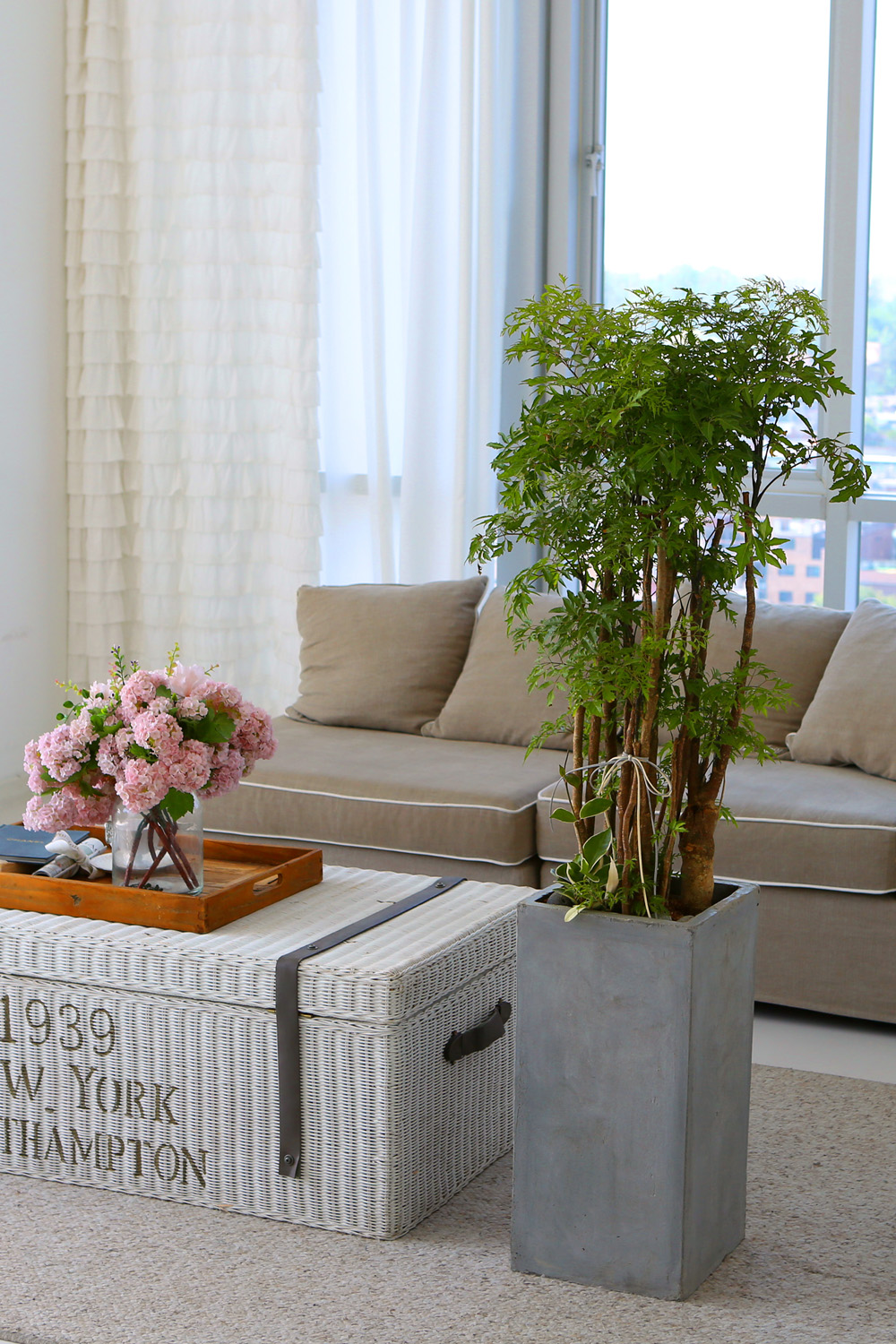   - ǳ ȭ -   ̱̽׷ Žǰ  ɹ