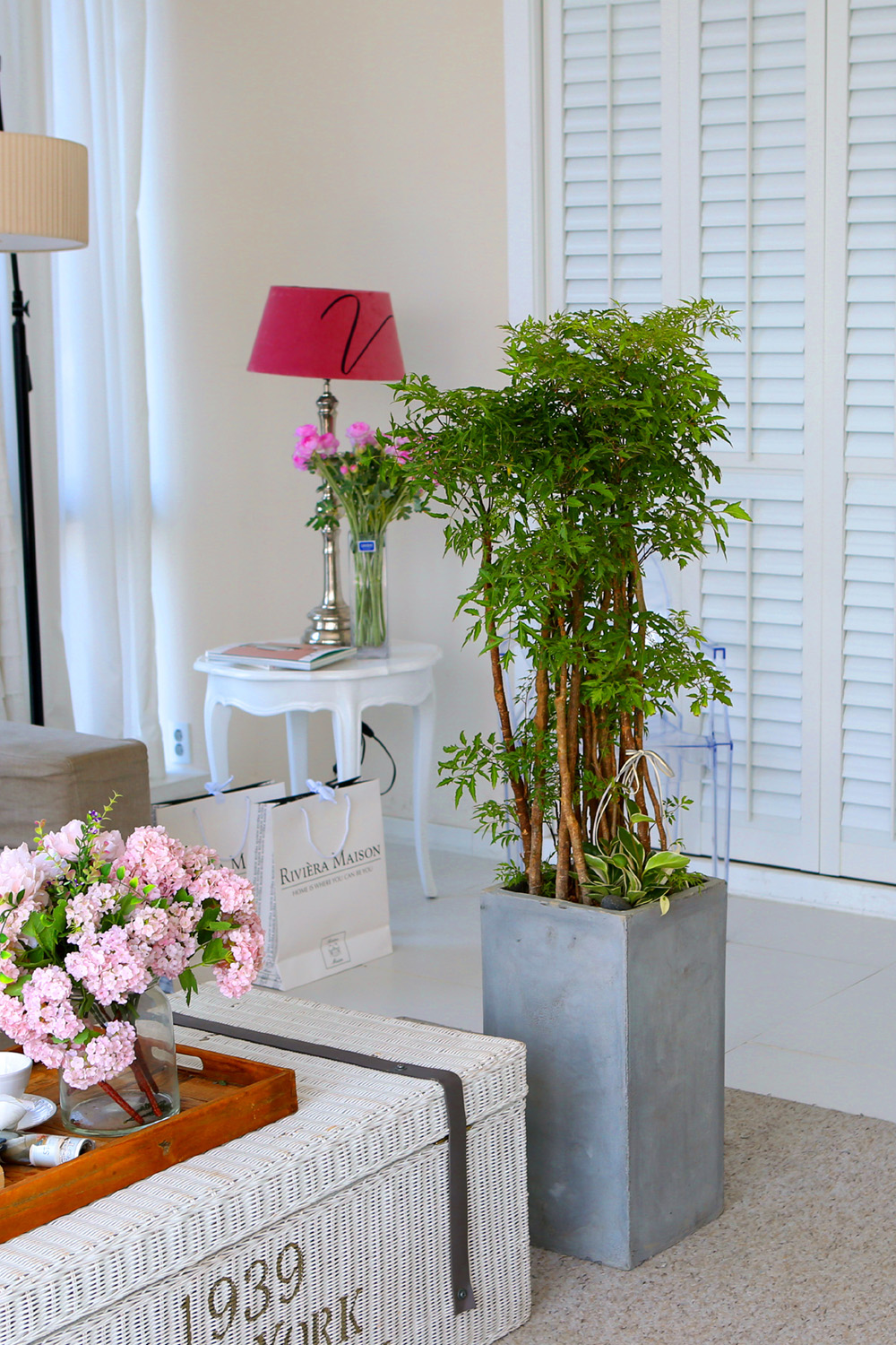   - ǳ ȭ -   ̱̽׷ Žǰ  ɹ