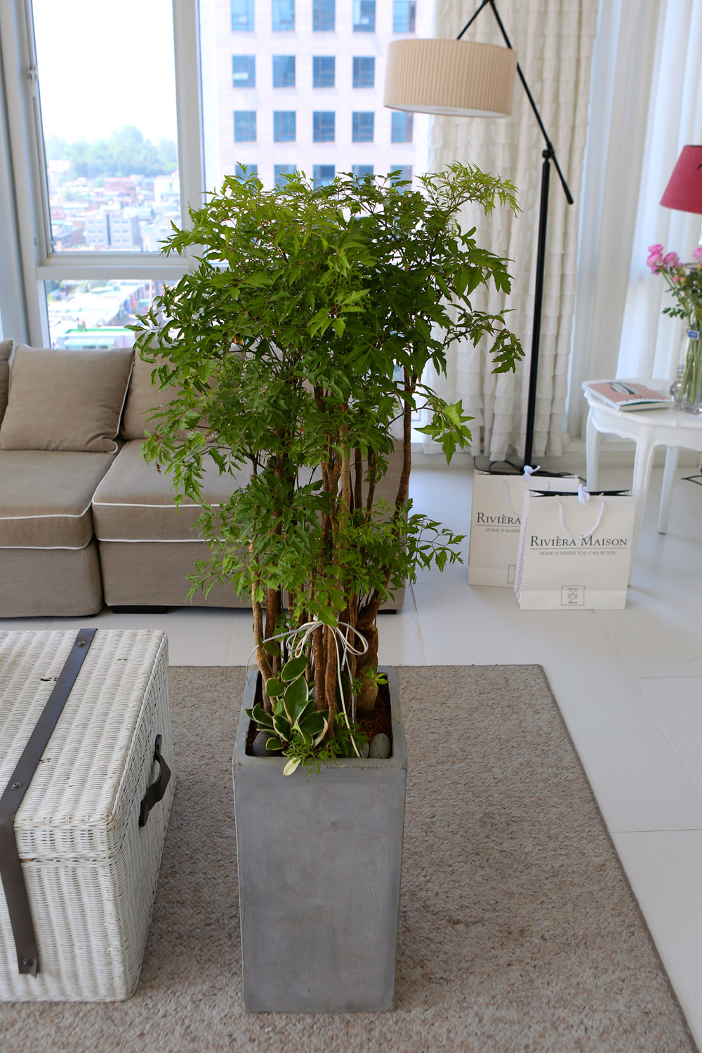   - ǳ ȭ -   ̱̽׷ Žǰ  ɹ