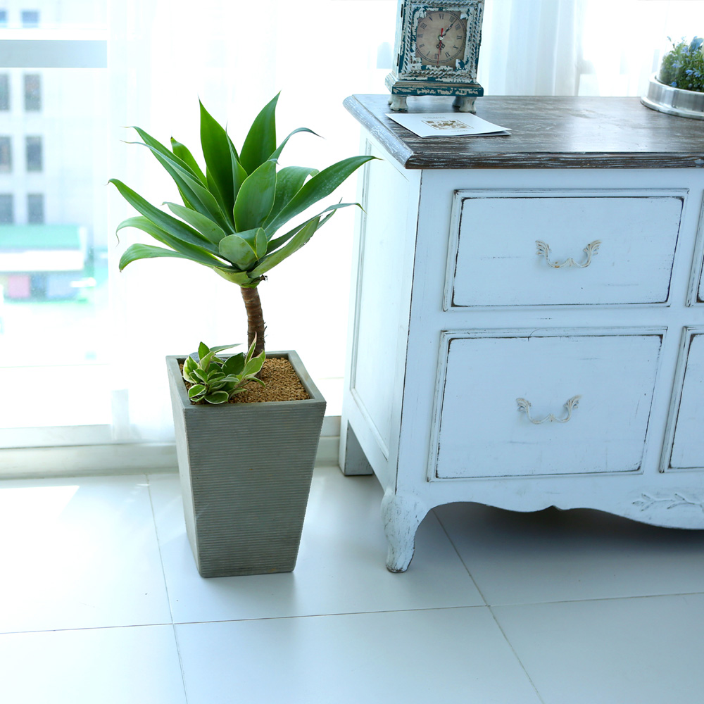 鿪 淯ִ - ǳ ȭ - Ȱ¦ ɰ  Ĺ ư  ɹ