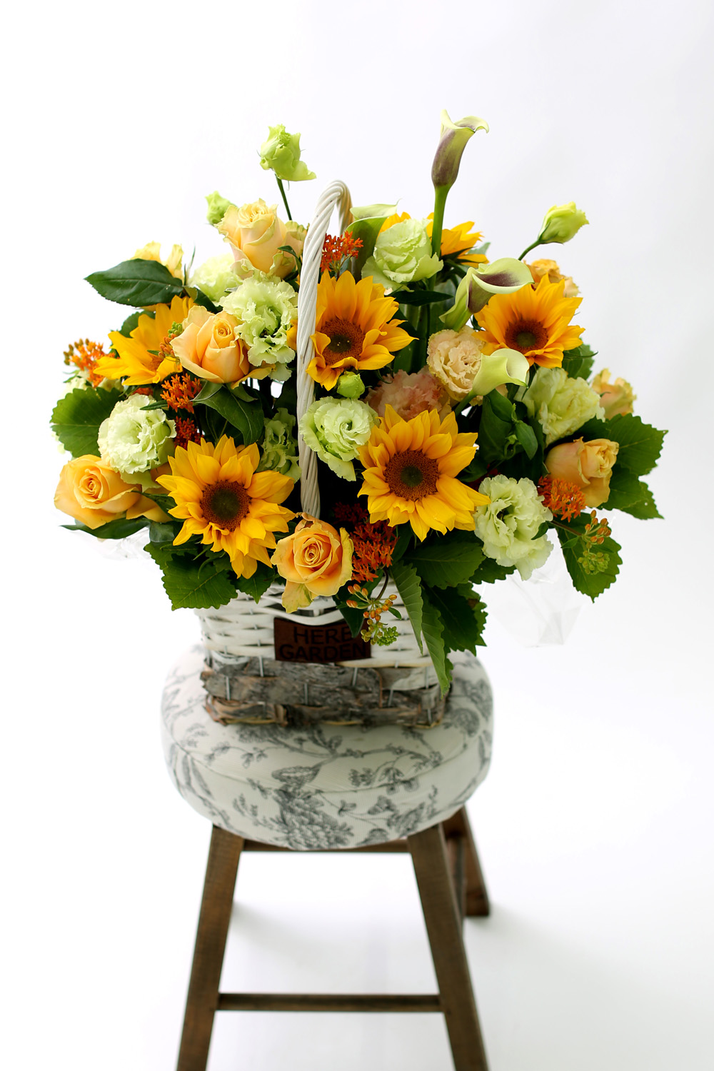  [Darling]_ ʸ  ʹ  ɹ