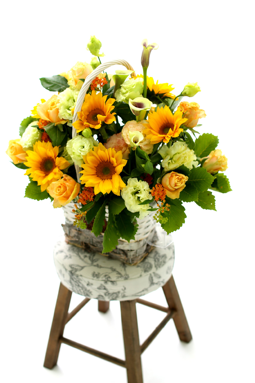  [Darling]_ ʸ  ʹ  ɹ