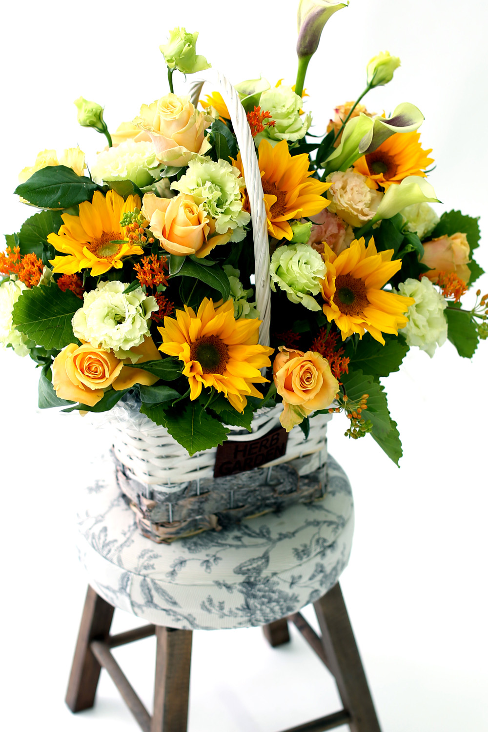  [Darling]_ ʸ  ʹ  ɹ