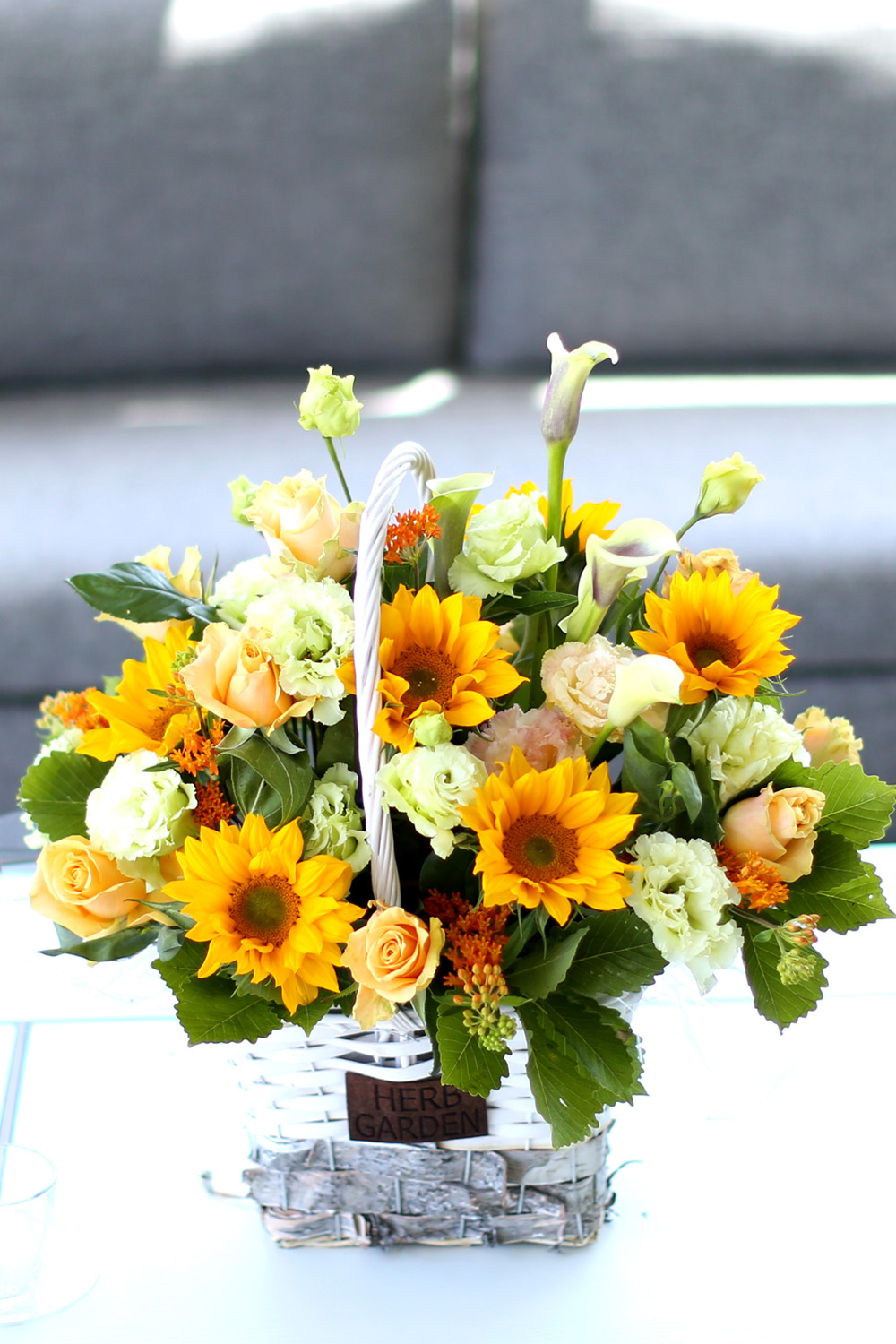  [Darling]_ ʸ  ʹ  ɹ