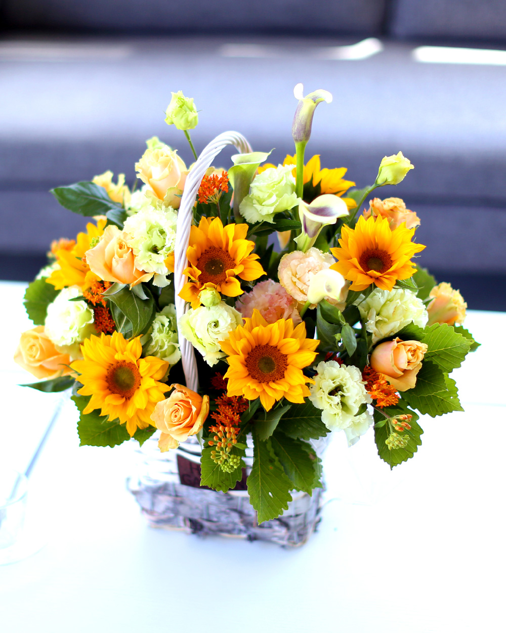  [Darling]_ ʸ  ʹ  ɹ