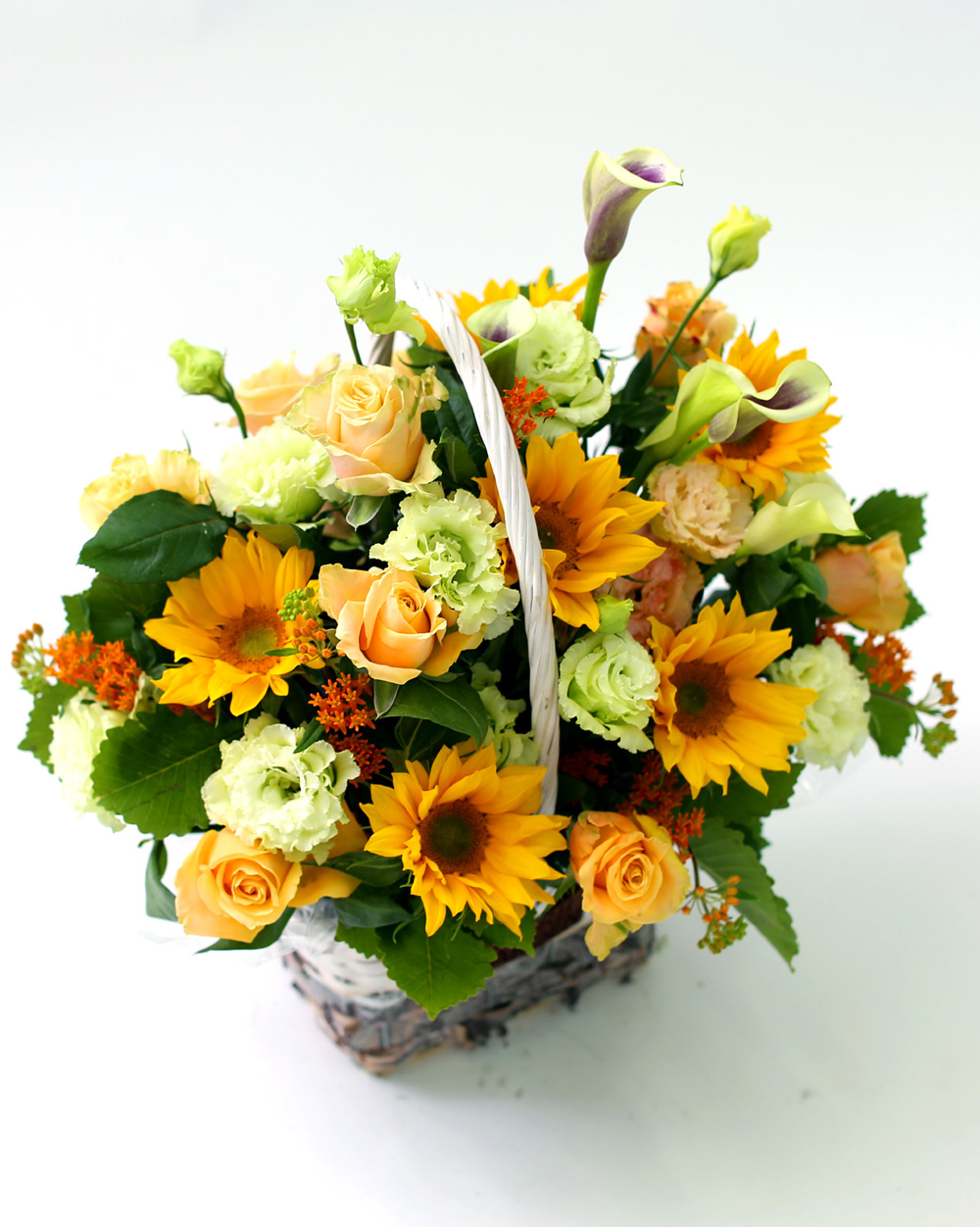  [Darling]_ ʸ  ʹ  ɹ