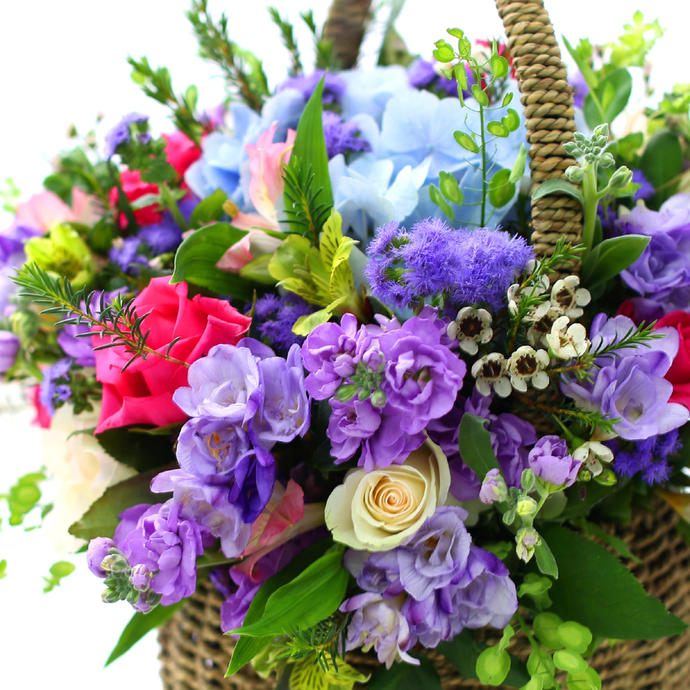 I choose to be happy!!! ²ÉÁý ²É¹è´Þ