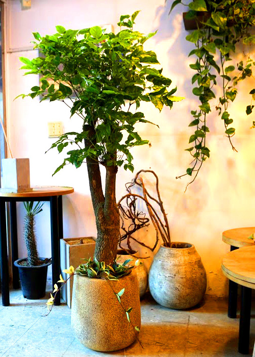 °³¾÷½Ä¿¡ ȺÐÀ» ºÎÅ¹ÇØ! - Ä«Æä¿¡ ¾î¿ï¸®´Â ÈºÐ ÇØÇÇÆ®¸®