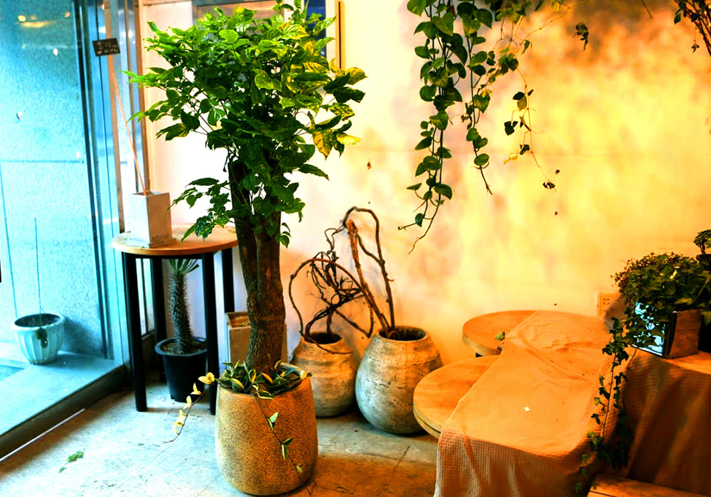 °³¾÷½Ä¿¡ ȺÐÀ» ºÎÅ¹ÇØ! - Ä«Æä¿¡ ¾î¿ï¸®´Â ÈºÐ ÇØÇÇÆ®¸®