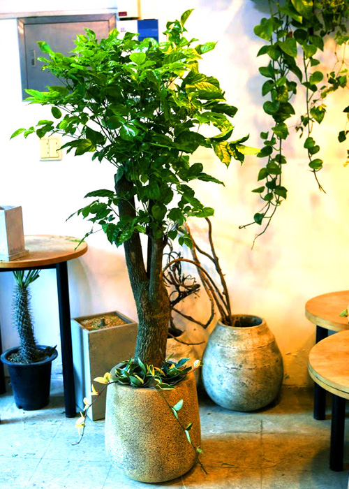 °³¾÷½Ä¿¡ ȺÐÀ» ºÎÅ¹ÇØ! - Ä«Æä¿¡ ¾î¿ï¸®´Â ÈºÐ ÇØÇÇÆ®¸®