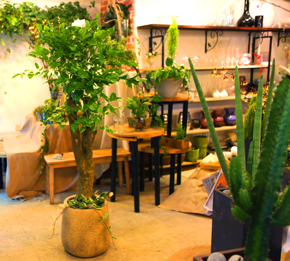 °³¾÷½Ä¿¡ ȺÐÀ» ºÎÅ¹ÇØ! - Ä«Æä¿¡ ¾î¿ï¸®´Â ÈºÐ ÇØÇÇÆ®¸®