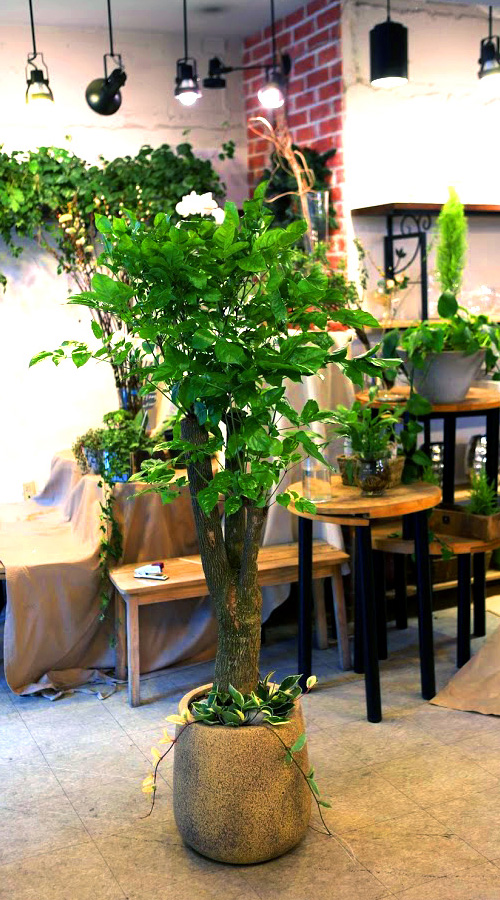 °³¾÷½Ä¿¡ ȺÐÀ» ºÎÅ¹ÇØ! - Ä«Æä¿¡ ¾î¿ï¸®´Â ÈºÐ ÇØÇÇÆ®¸®