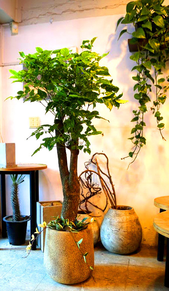 °³¾÷½Ä¿¡ ȺÐÀ» ºÎÅ¹ÇØ! - Ä«Æä¿¡ ¾î¿ï¸®´Â ÈºÐ ÇØÇÇÆ®¸®