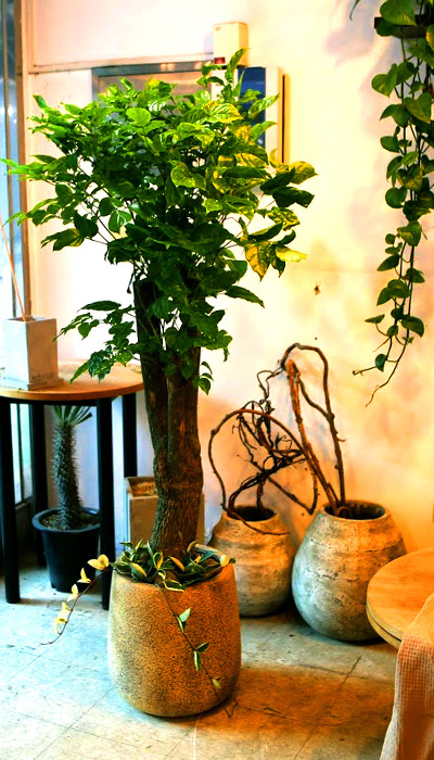 °³¾÷½Ä¿¡ ȺÐÀ» ºÎÅ¹ÇØ! - Ä«Æä¿¡ ¾î¿ï¸®´Â ÈºÐ ÇØÇÇÆ®¸®