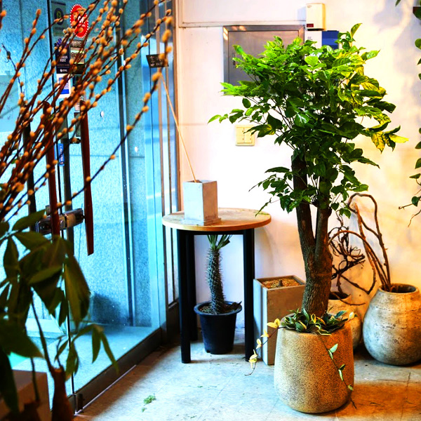 °³¾÷½Ä¿¡ ȺÐÀ» ºÎÅ¹ÇØ! - Ä«Æä¿¡ ¾î¿ï¸®´Â ÈºÐ ÇØÇÇÆ®¸®