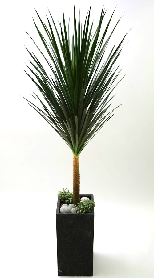 Ŀ ȭ Ź!  - 幮 ڽ  (ȭⰡ   ֽϴ.)  ɹ