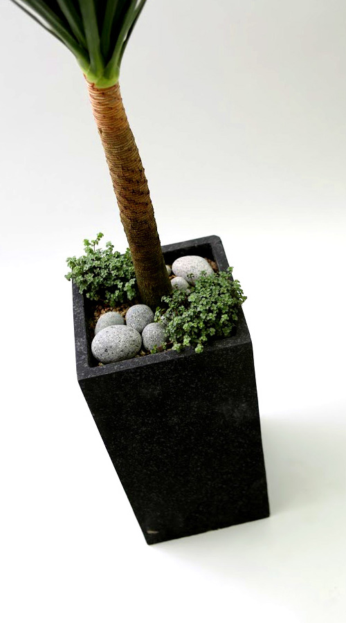 Ŀ ȭ Ź!  - 幮 ڽ  (ȭⰡ   ֽϴ.)  ɹ