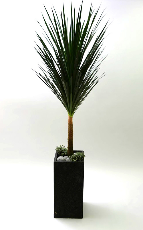 Ŀ ȭ Ź!  - 幮 ڽ  (ȭⰡ   ֽϴ.)  ɹ