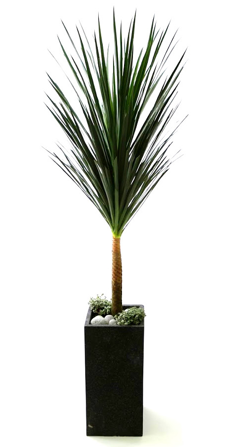 Ŀ ȭ Ź!  - 幮 ڽ  (ȭⰡ   ֽϴ.)  ɹ