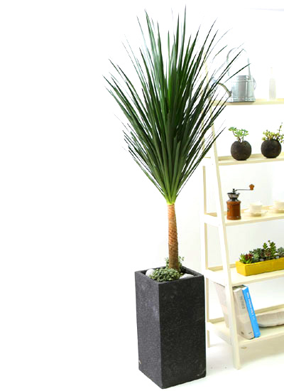 Ŀ ȭ Ź!  - 幮 ڽ  (ȭⰡ   ֽϴ.)  ɹ