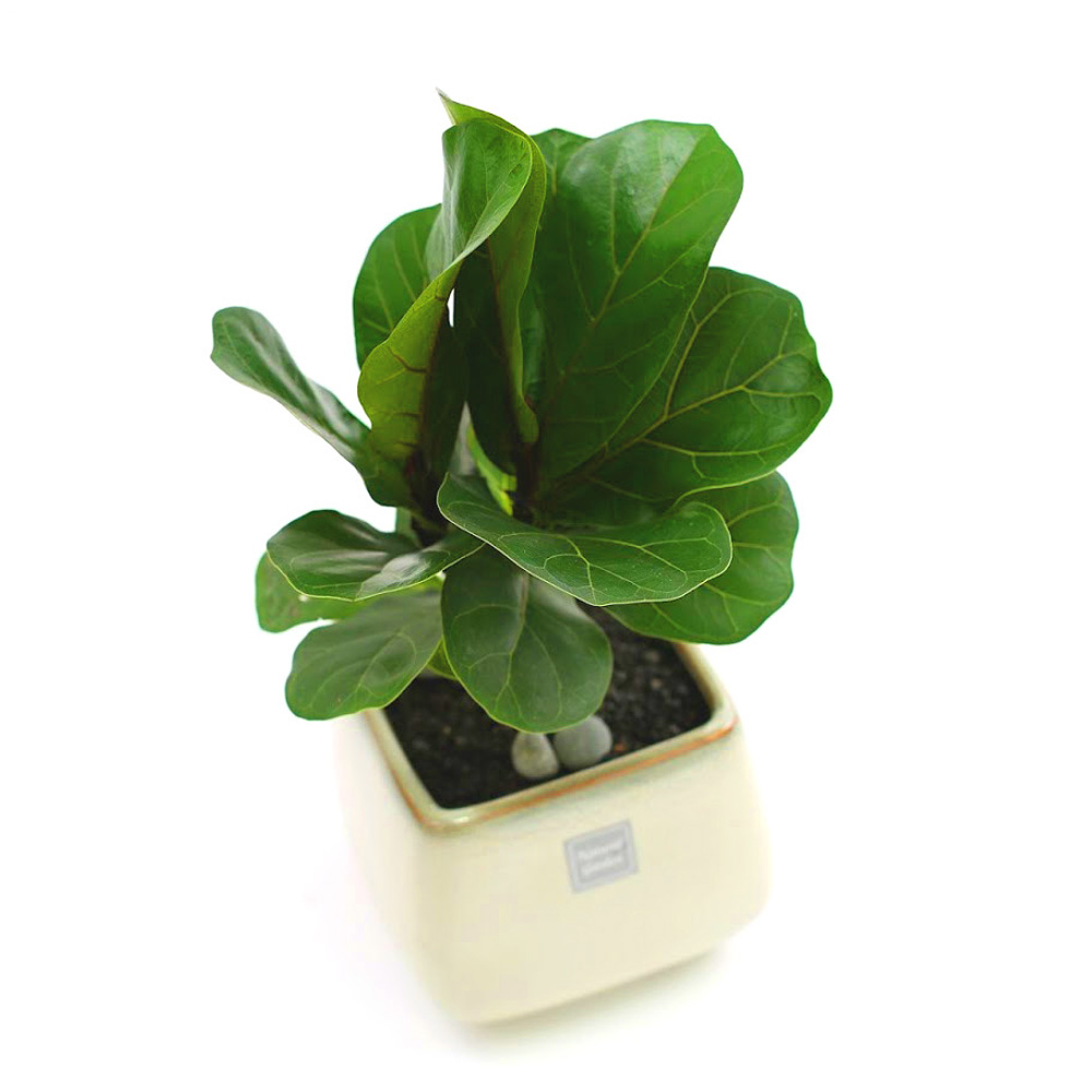 °³¾÷½Ä¿¡ ȺÐÀ» ºÎÅ¹ÇØ!  - Ã¥»óÀ§¿¡ ³õ±â µü Àû´çÇØ ¶±°¥°í¹«³ª¹«