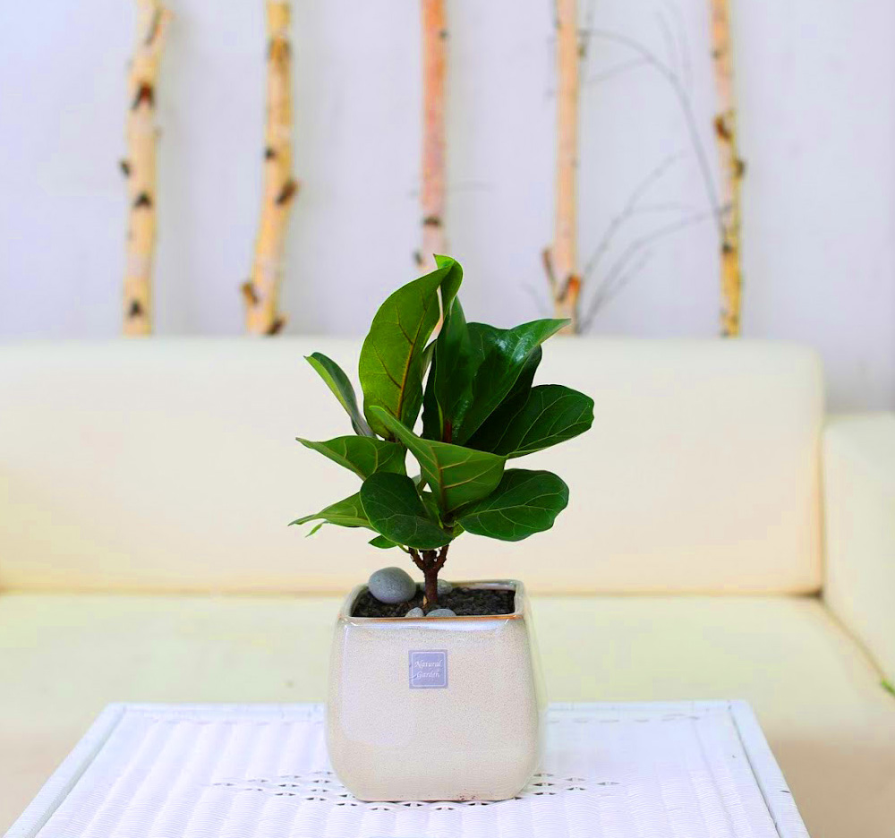 °³¾÷½Ä¿¡ ȺÐÀ» ºÎÅ¹ÇØ!  - Ã¥»óÀ§¿¡ ³õ±â µü Àû´çÇØ ¶±°¥°í¹«³ª¹«