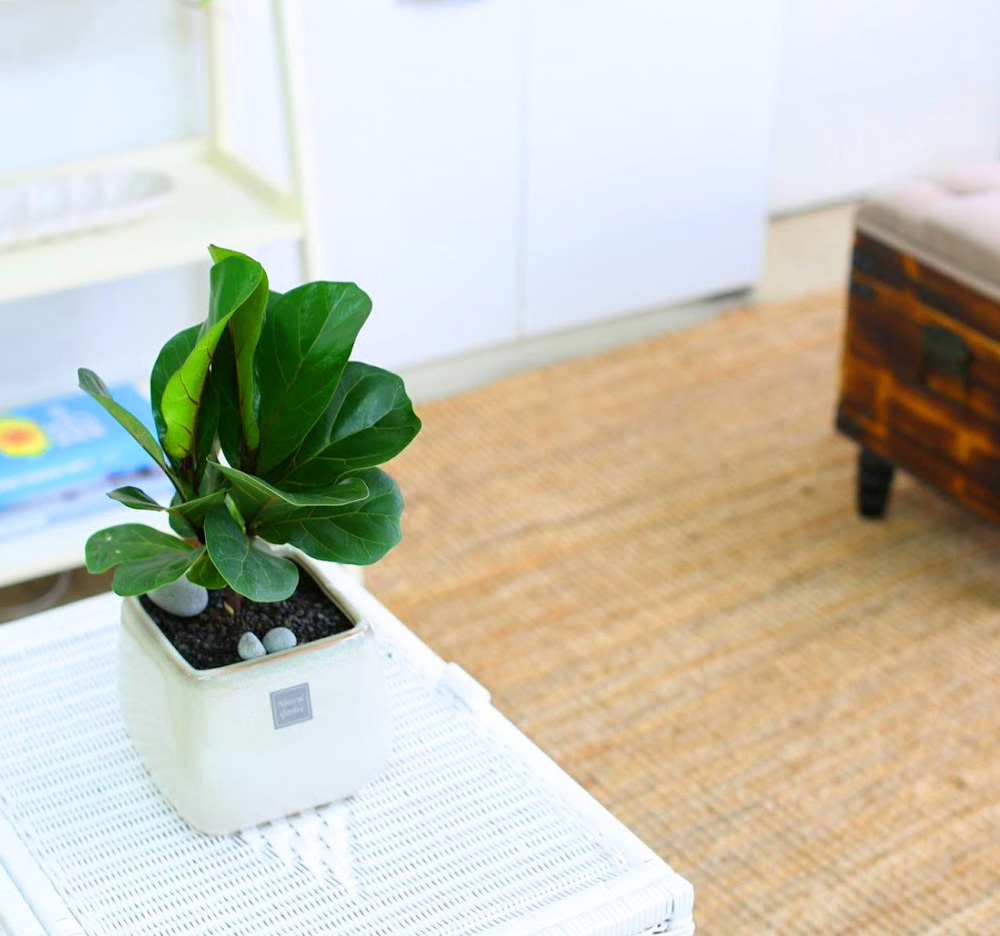 °³¾÷½Ä¿¡ ȺÐÀ» ºÎÅ¹ÇØ!  - Ã¥»óÀ§¿¡ ³õ±â µü Àû´çÇØ ¶±°¥°í¹«³ª¹«