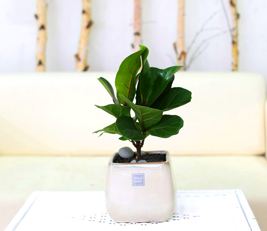 °³¾÷½Ä¿¡ ȺÐÀ» ºÎÅ¹ÇØ!  - Ã¥»óÀ§¿¡ ³õ±â µü Àû´çÇØ ¶±°¥°í¹«³ª¹«