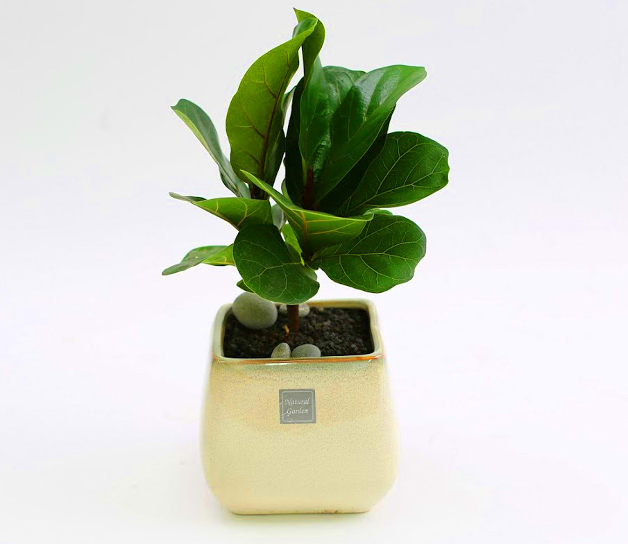 °³¾÷½Ä¿¡ ȺÐÀ» ºÎÅ¹ÇØ!  - Ã¥»óÀ§¿¡ ³õ±â µü Àû´çÇØ ¶±°¥°í¹«³ª¹«