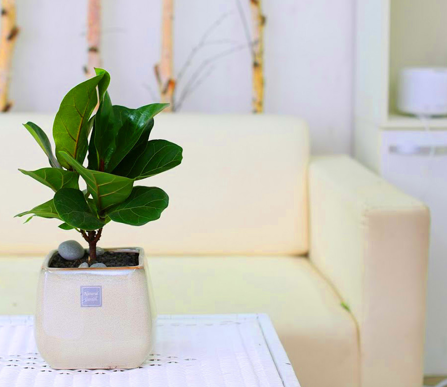 °³¾÷½Ä¿¡ ȺÐÀ» ºÎÅ¹ÇØ!  - Ã¥»óÀ§¿¡ ³õ±â µü Àû´çÇØ ¶±°¥°í¹«³ª¹«