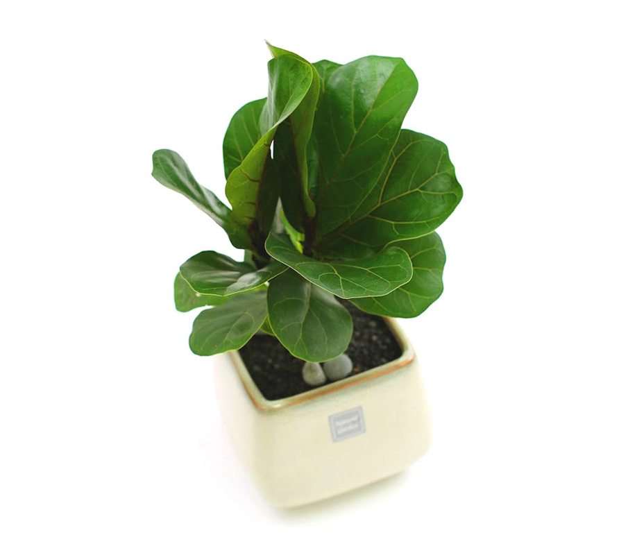 °³¾÷½Ä¿¡ ȺÐÀ» ºÎÅ¹ÇØ!  - Ã¥»óÀ§¿¡ ³õ±â µü Àû´çÇØ ¶±°¥°í¹«³ª¹«