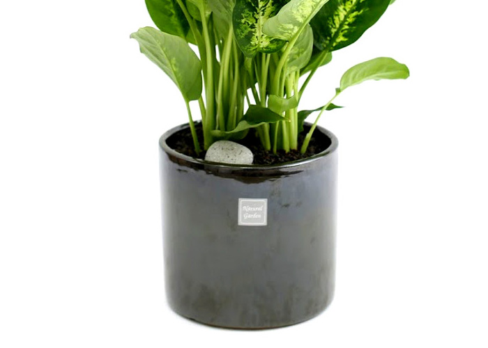 鿪 淯ִ -  ̱׷ ȴ(ȭ)