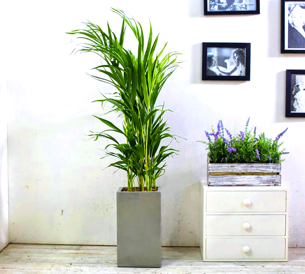 Ŀ ȭ Ź!  - NASA  ȭĹ 1 Ʒī  ɹ