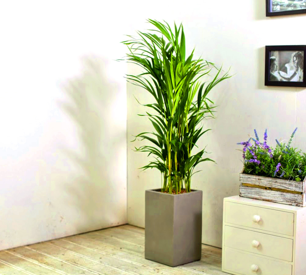 Ŀ ȭ Ź!  - NASA  ȭĹ 1 Ʒī  ɹ