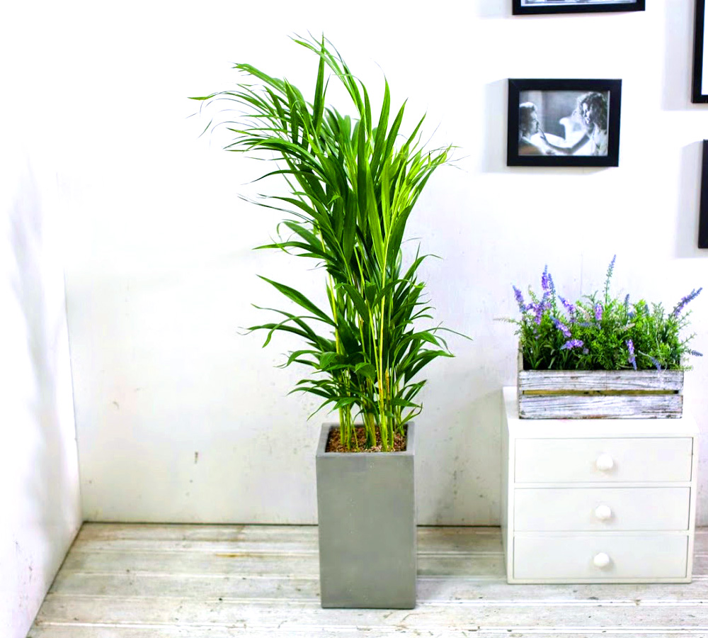 Ŀ ȭ Ź!  - NASA  ȭĹ 1 Ʒī  ɹ