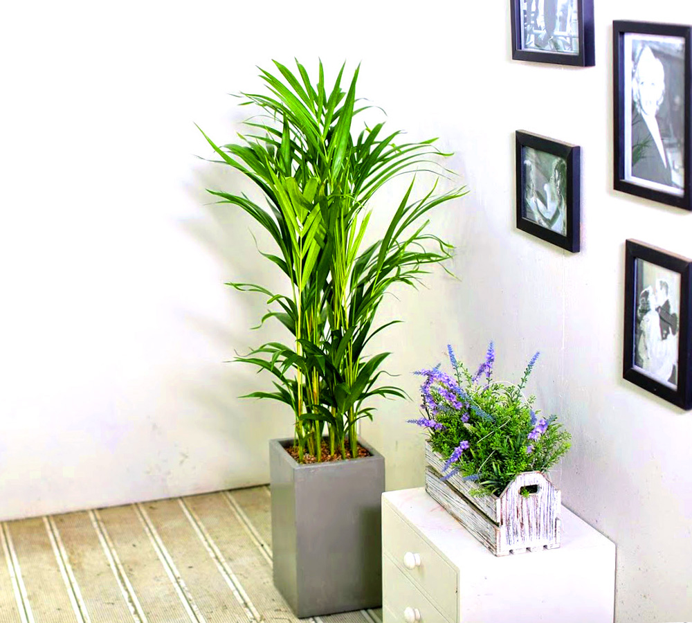 Ŀ ȭ Ź!  - NASA  ȭĹ 1 Ʒī  ɹ