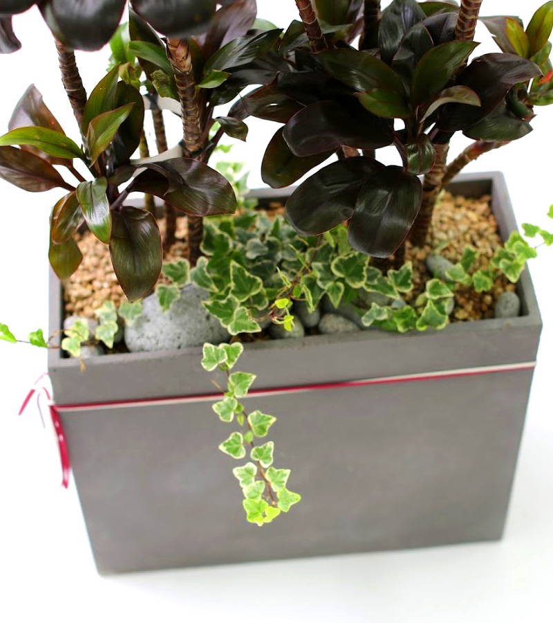 �鿪���� �淯�ִ� - �������ı� �ֹ� �����˵����� ���� �ɷ��� �پ ����Ÿ(ȭ�⺯��) ���� �ɹ��