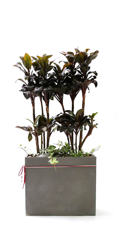 �鿪���� �淯�ִ� - �������ı� �ֹ� �����˵����� ���� �ɷ��� �پ ����Ÿ(ȭ�⺯��) ���� �ɹ��