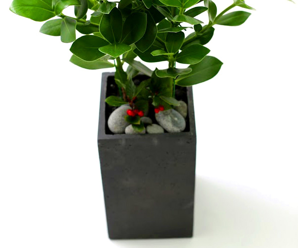 Ǫ ׸ ȭĹ ũþ [ȭ⺯]  ɹ