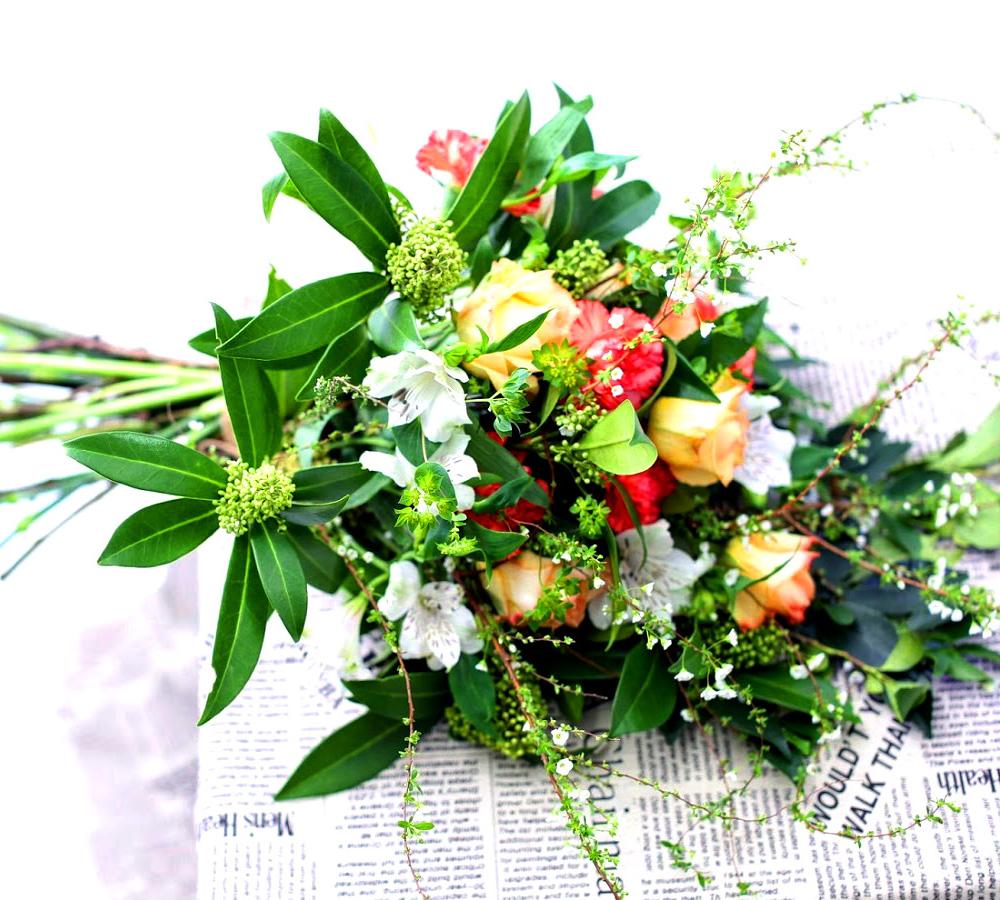 Flowers of the day  ɹ