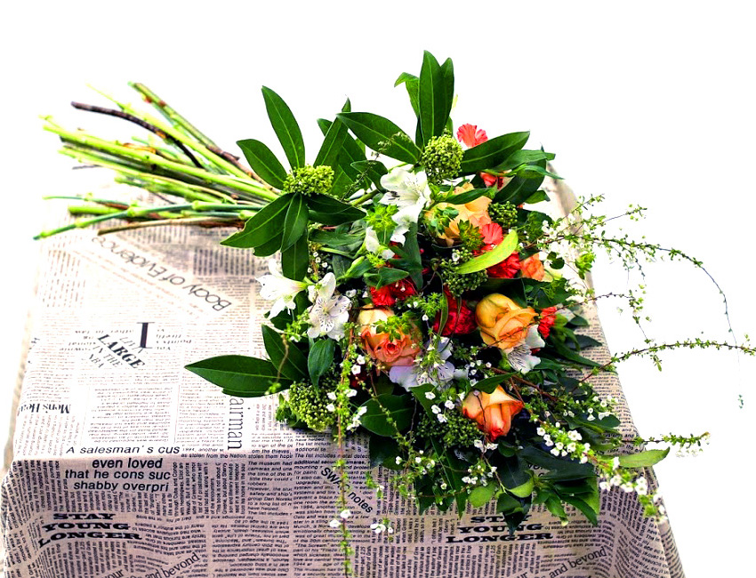 Flowers of the day  ɹ