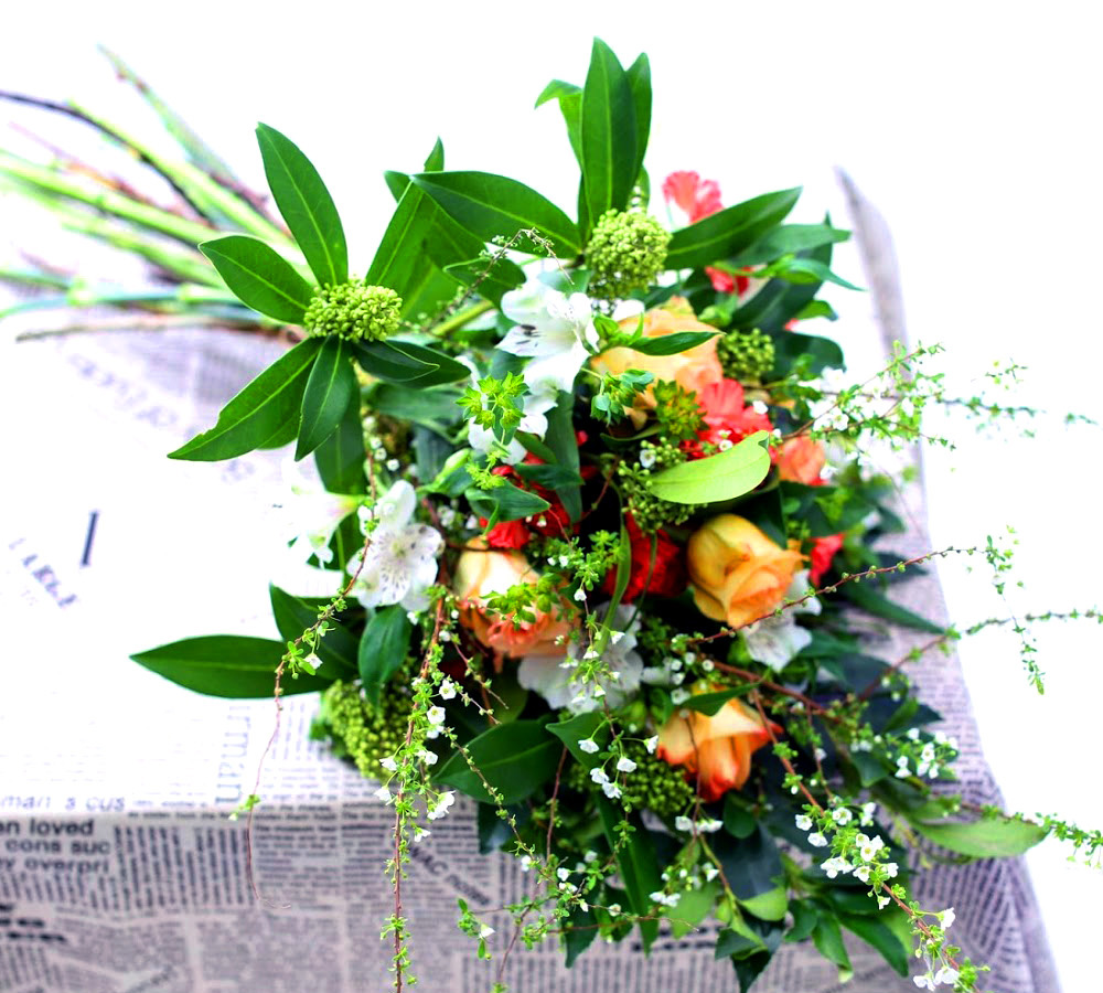 Flowers of the day  ɹ