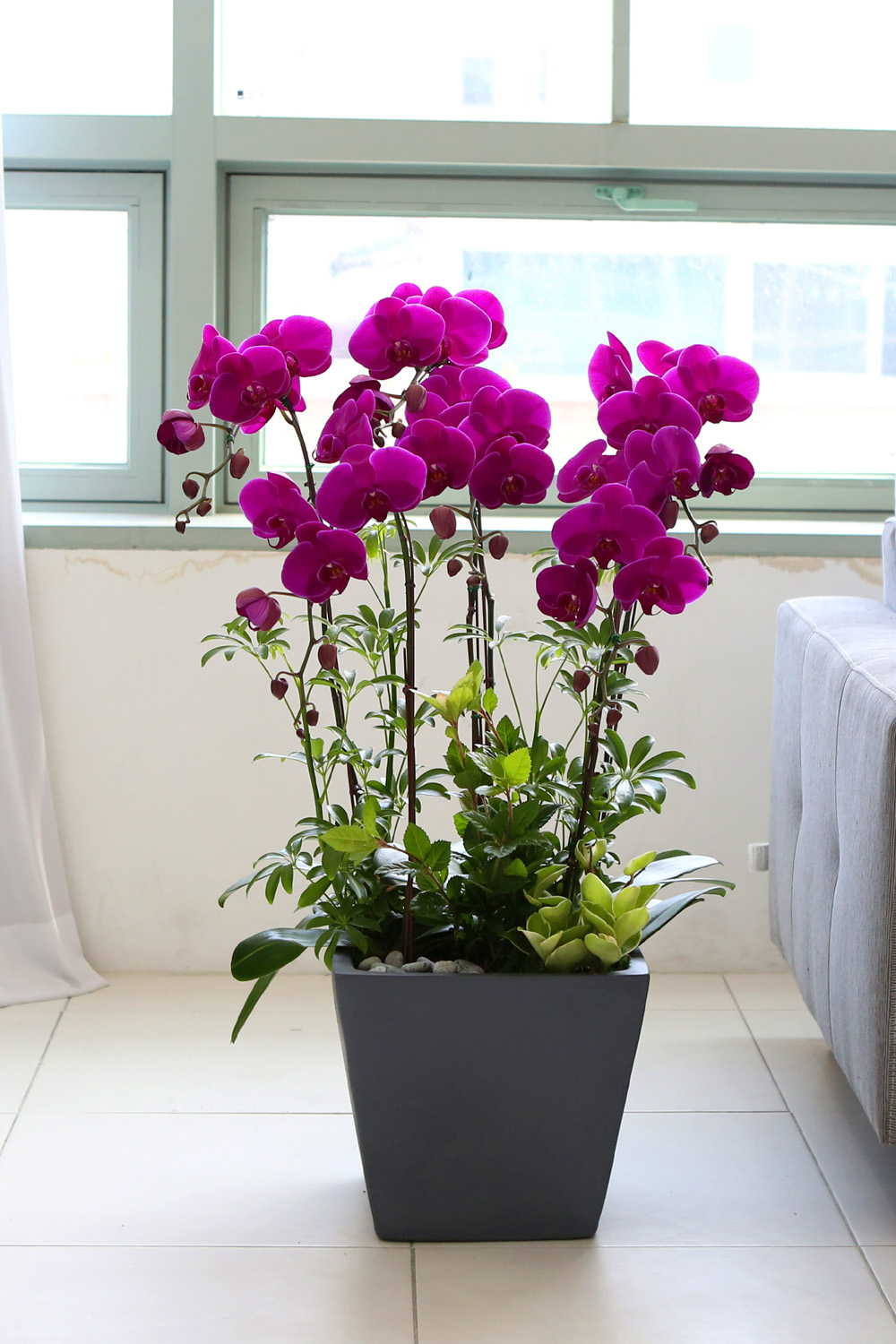  Ƹٿ ϼ  -  Ѻ ũȣ    ɹ