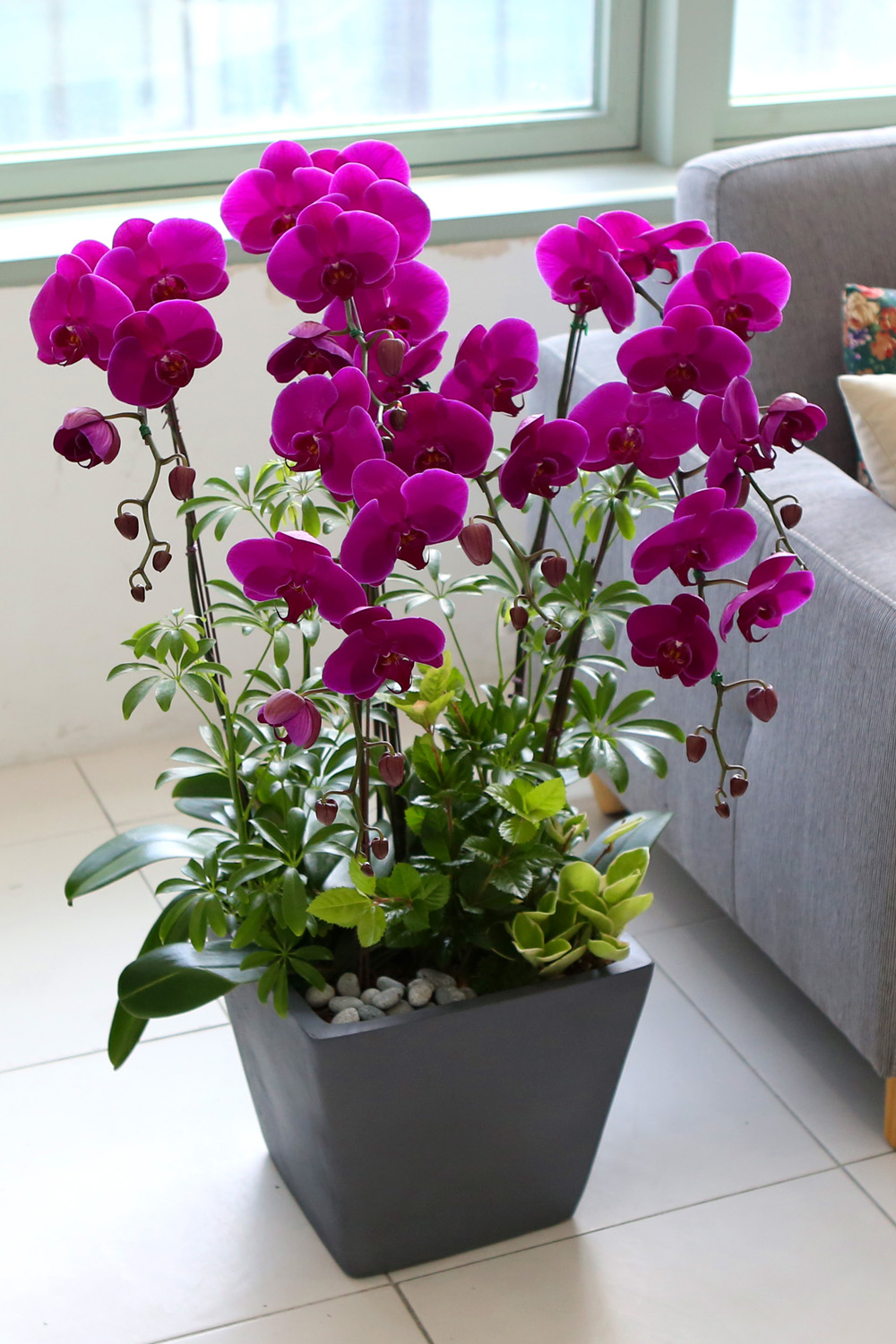  Ƹٿ ϼ  -  Ѻ ũȣ    ɹ